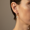 Premium Crystal Earrings